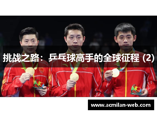 挑战之路：乒乓球高手的全球征程 (2)