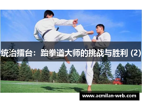 统治擂台：跆拳道大师的挑战与胜利 (2)
